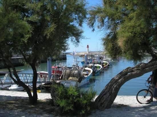 Camping A La Cotiniere-Piscine-Bungalow Cosy Entre Ocean Et Pinede Exterior foto